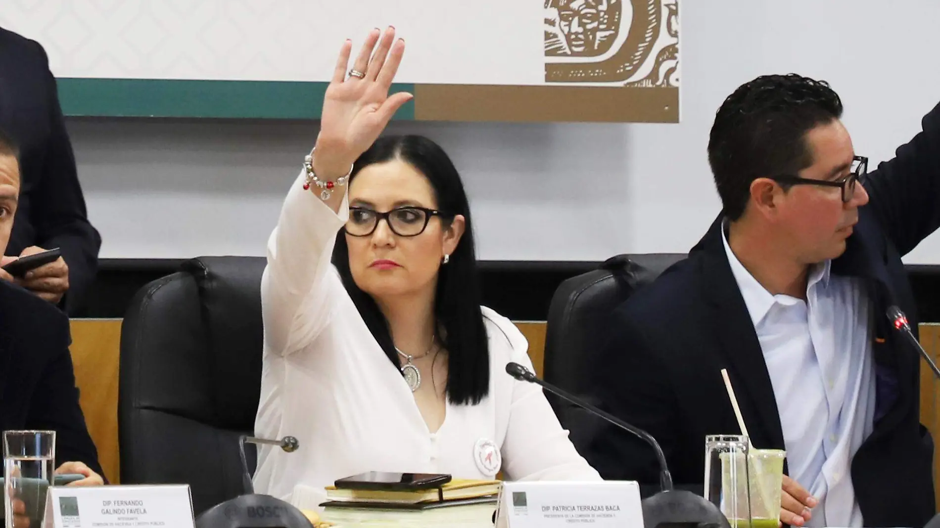 LEY DE EGRESOS-DIPUTADOS-PATRICIA TERRAZAS-alejandro aguilar